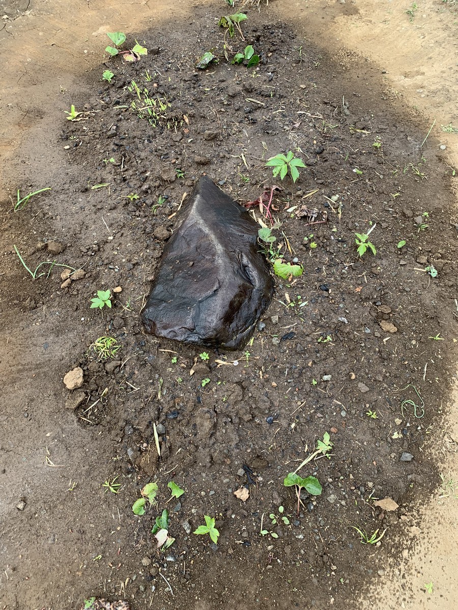f:id:dohgen:20190319194443j:plain f:id:dohgen:20190319194443j:plain