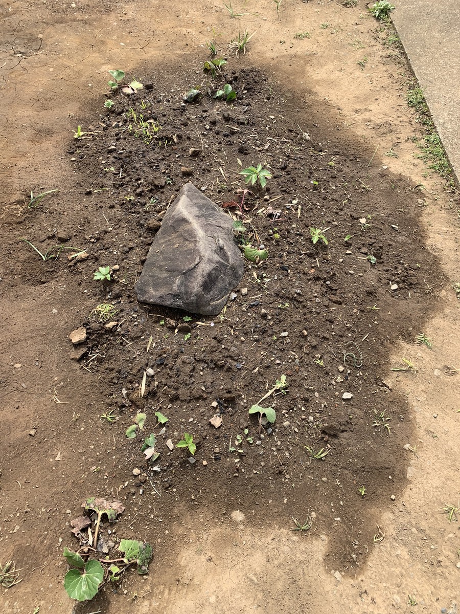 f:id:dohgen:20190319194613j:plain f:id:dohgen:20190319194613j:plain