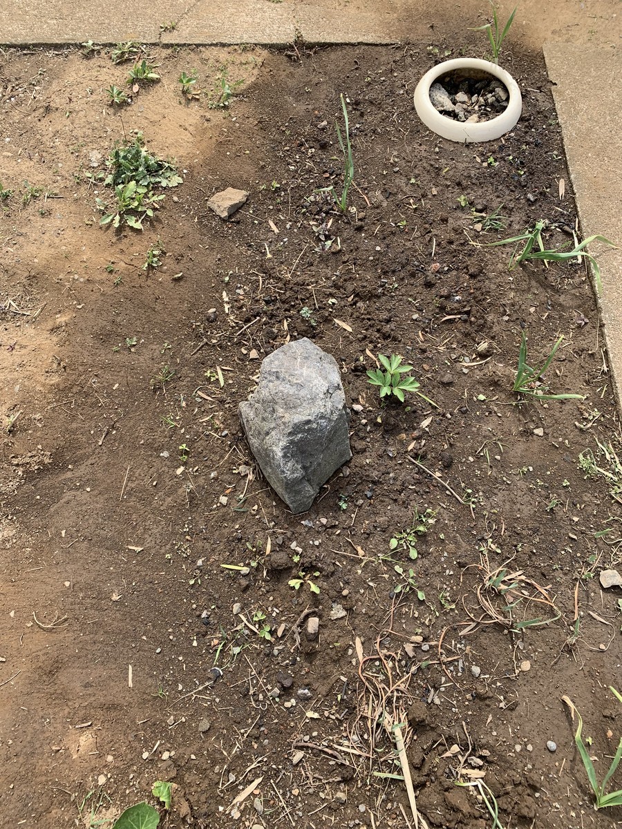 f:id:dohgen:20190319195101j:plain f:id:dohgen:20190319195101j:plain