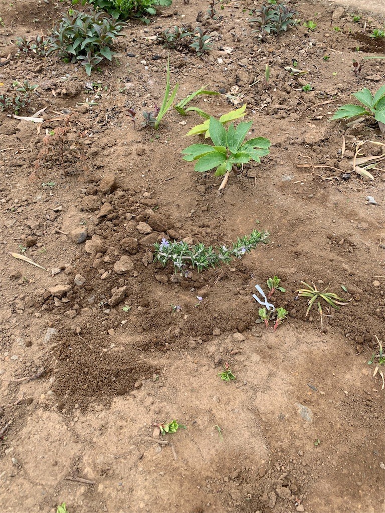 f:id:dohgen:20190331182702j:image
