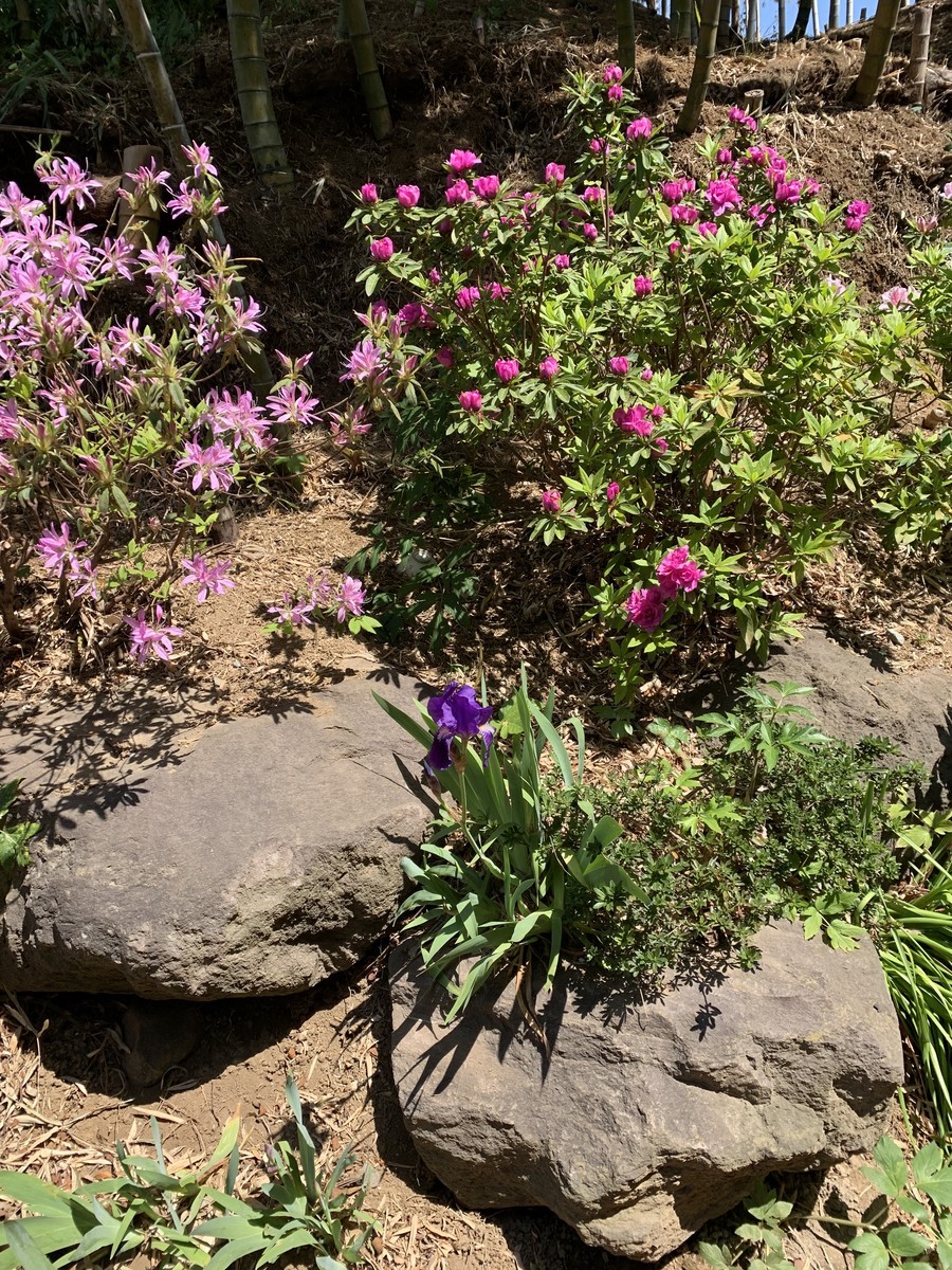 f:id:dohgen:20190419083132j:plain