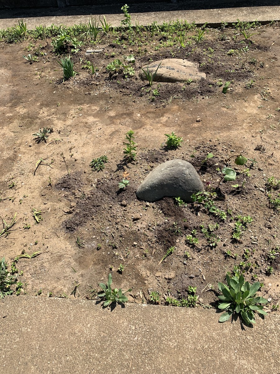 f:id:dohgen:20190419083543j:plain
