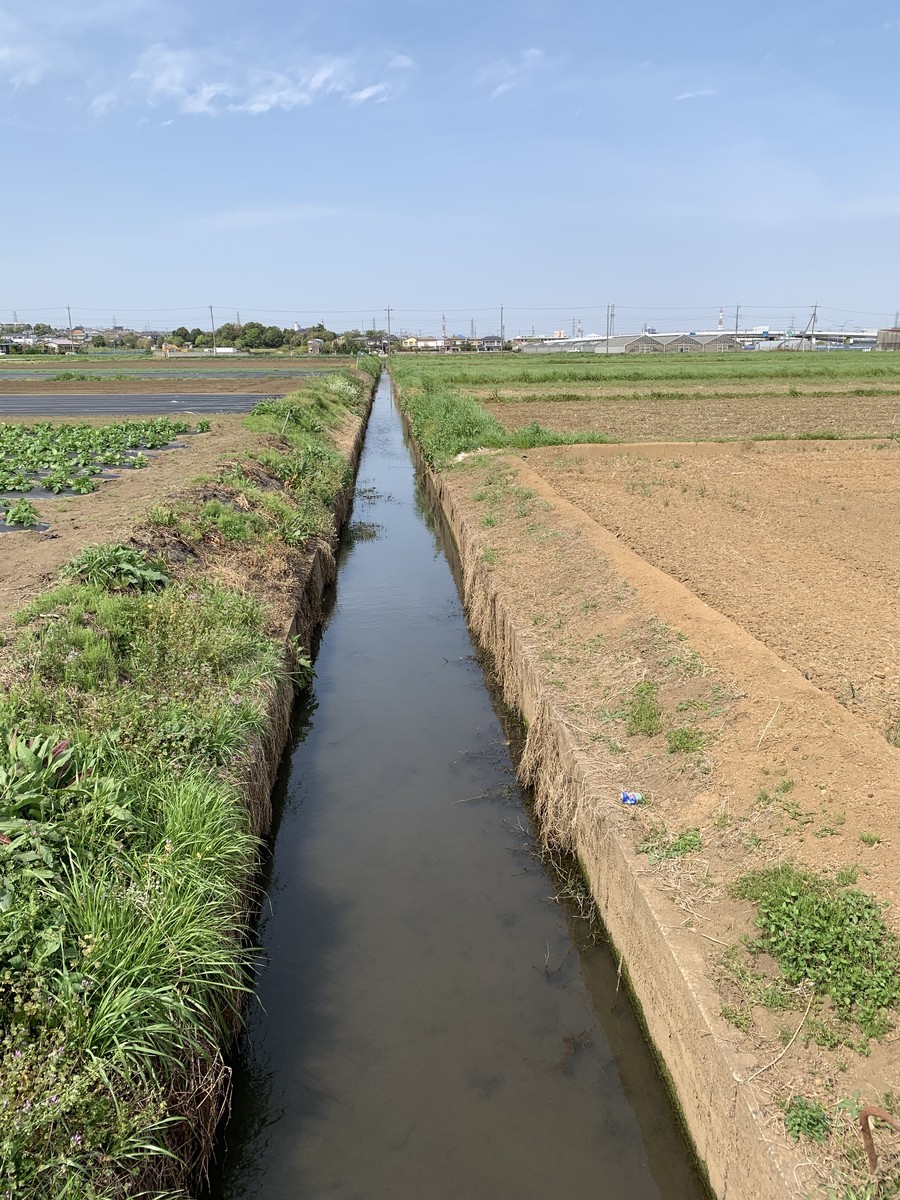 f:id:dohgen:20190423184602j:plain f:id:dohgen:20190423184602j:plain