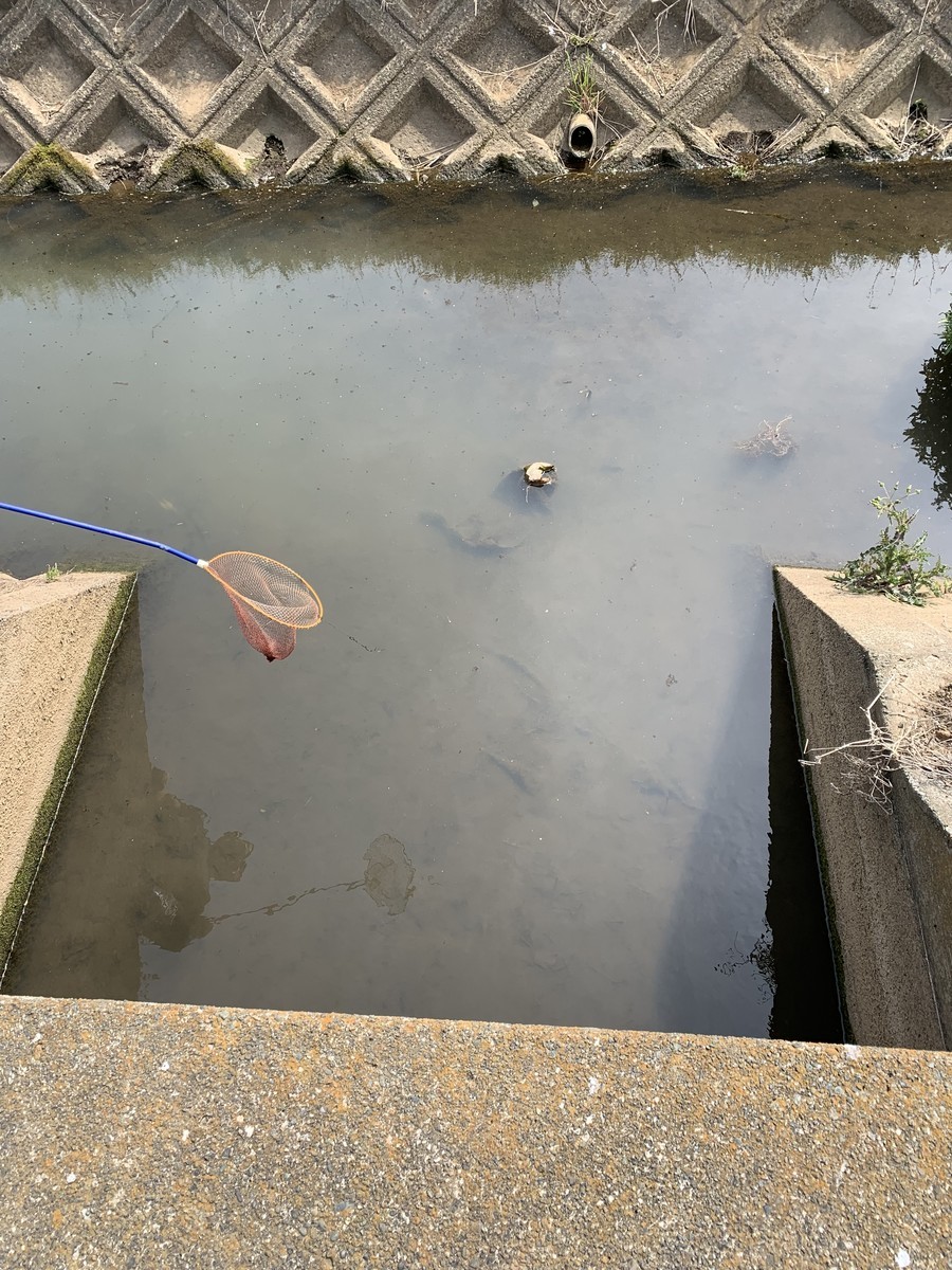 f:id:dohgen:20190423184741j:plain f:id:dohgen:20190423184741j:plain