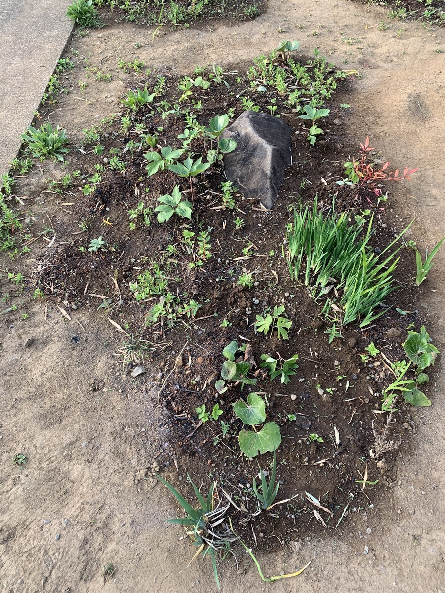 f:id:dohgen:20190423185747j:plain f:id:dohgen:20190423185747j:plain