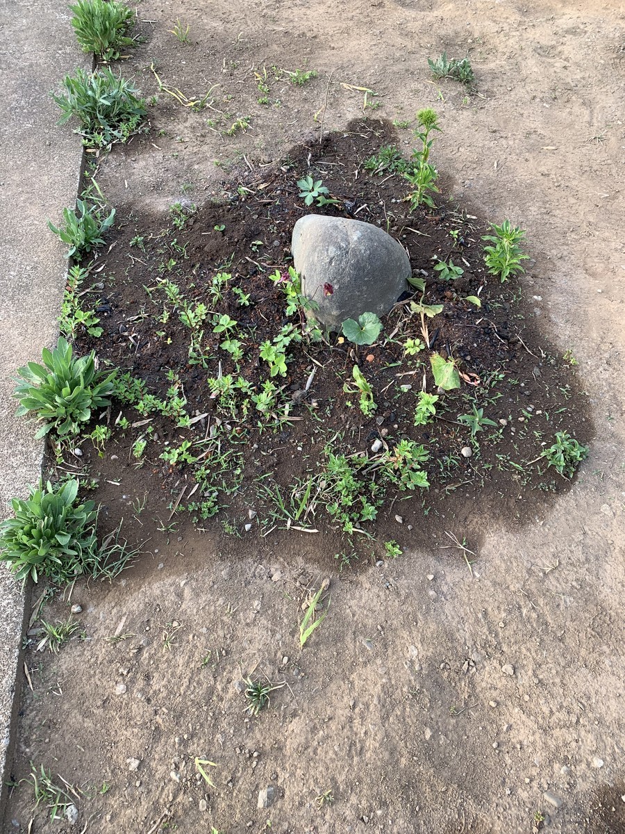 f:id:dohgen:20190423185913j:plain f:id:dohgen:20190423185913j:plain