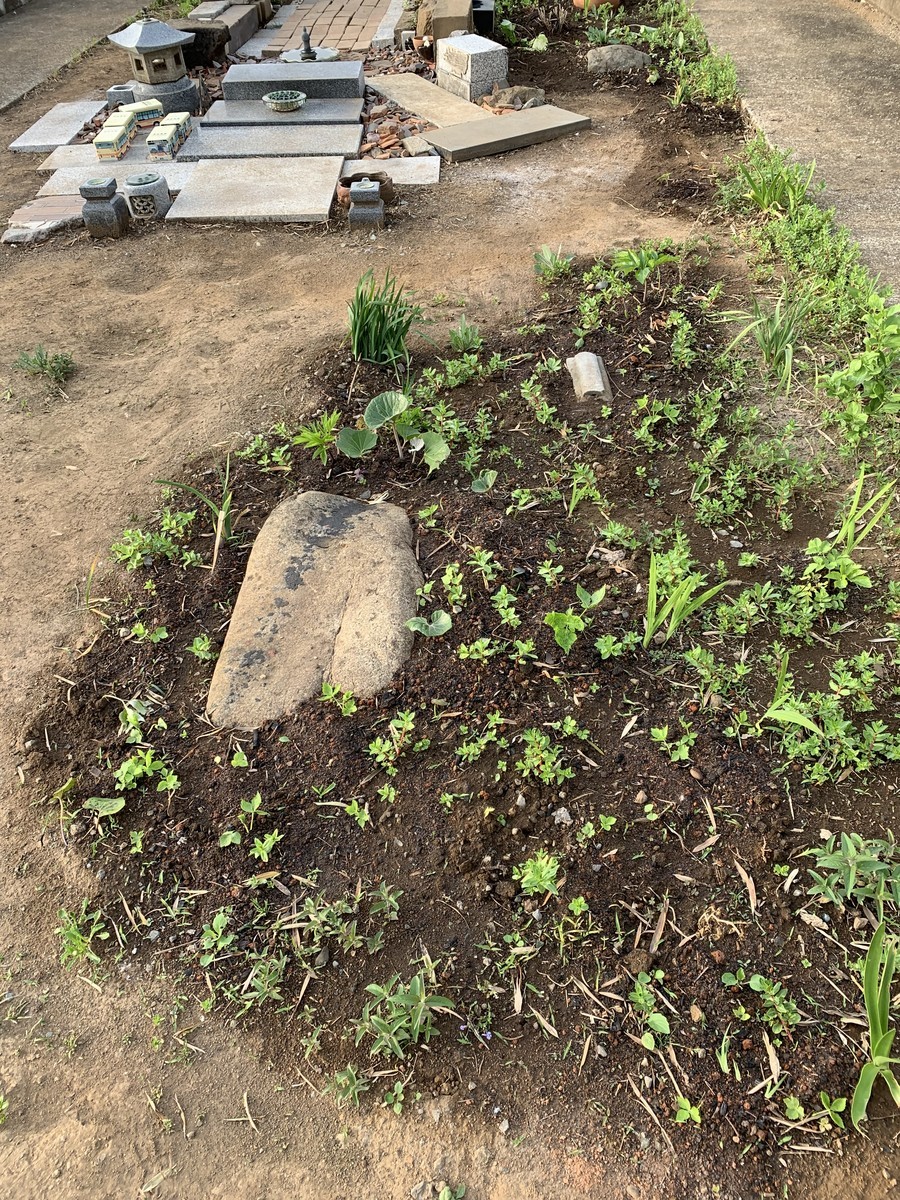 f:id:dohgen:20190423190131j:plain f:id:dohgen:20190423190131j:plain