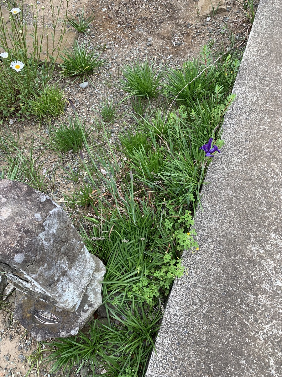 f:id:dohgen:20190424212959j:plain