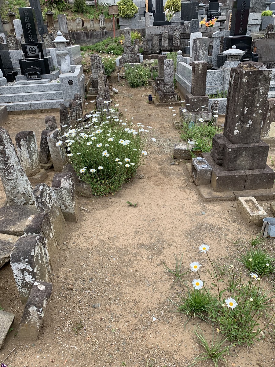 f:id:dohgen:20190424213103j:plain