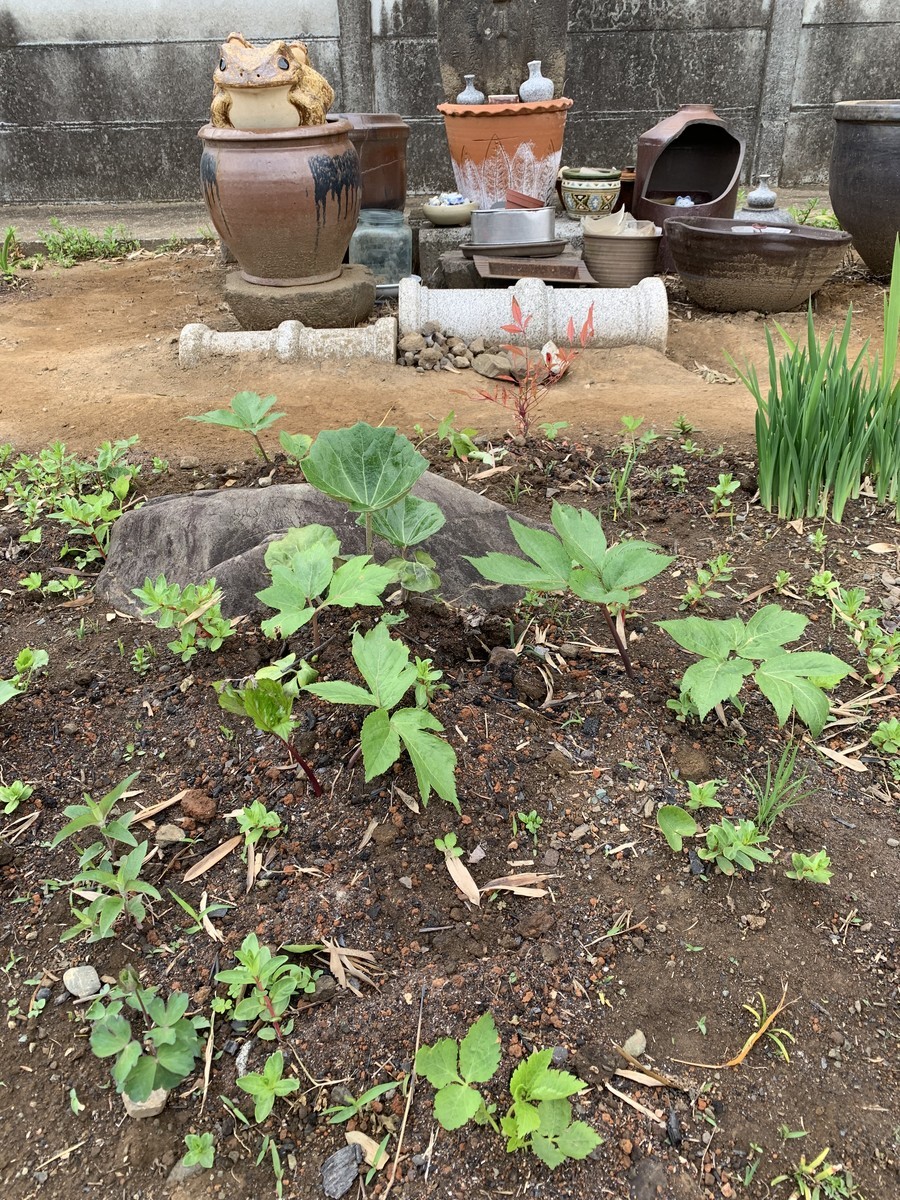 f:id:dohgen:20190424213333j:plain