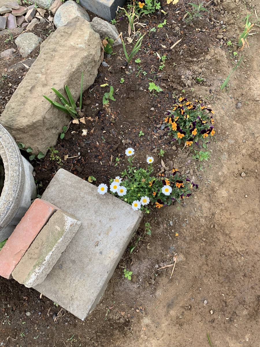 f:id:dohgen:20190424213947j:plain
