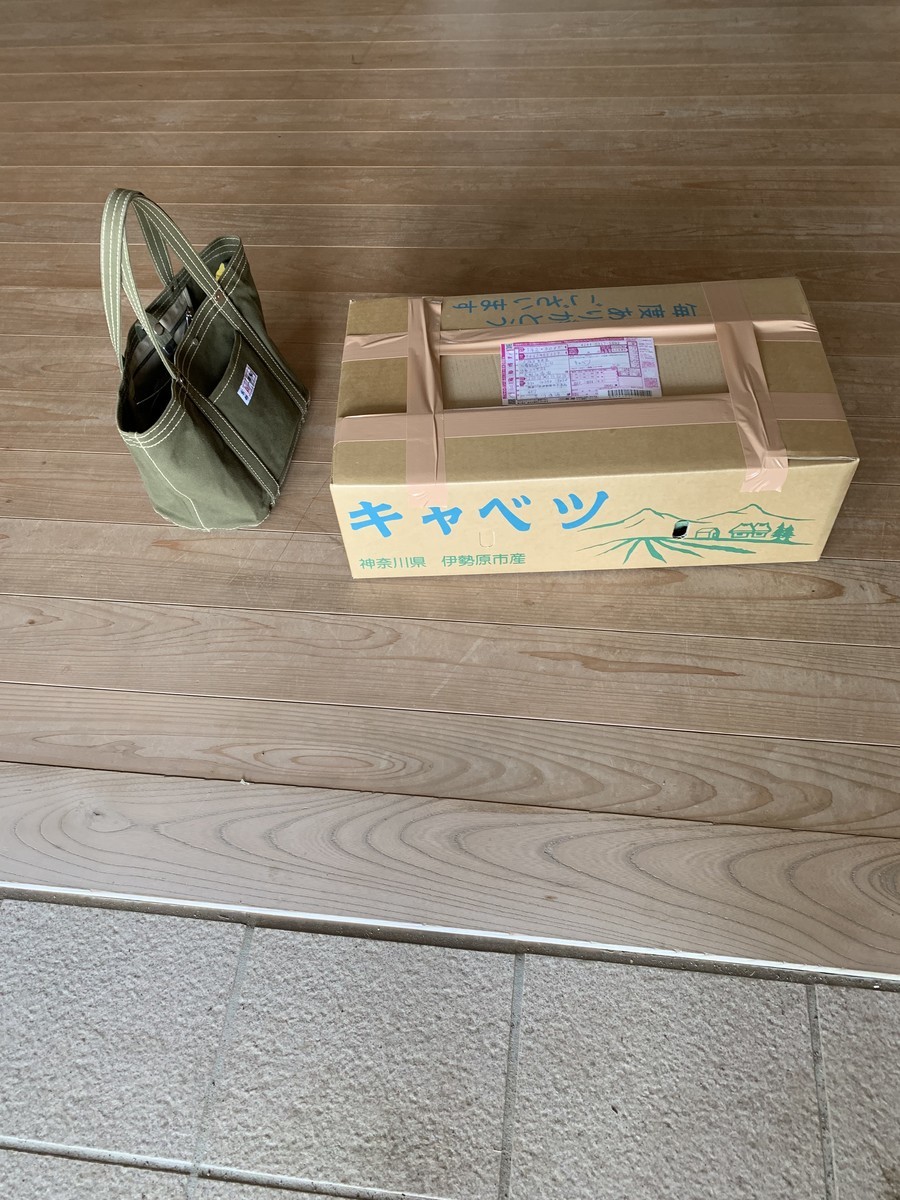 f:id:dohgen:20190426200439j:plain