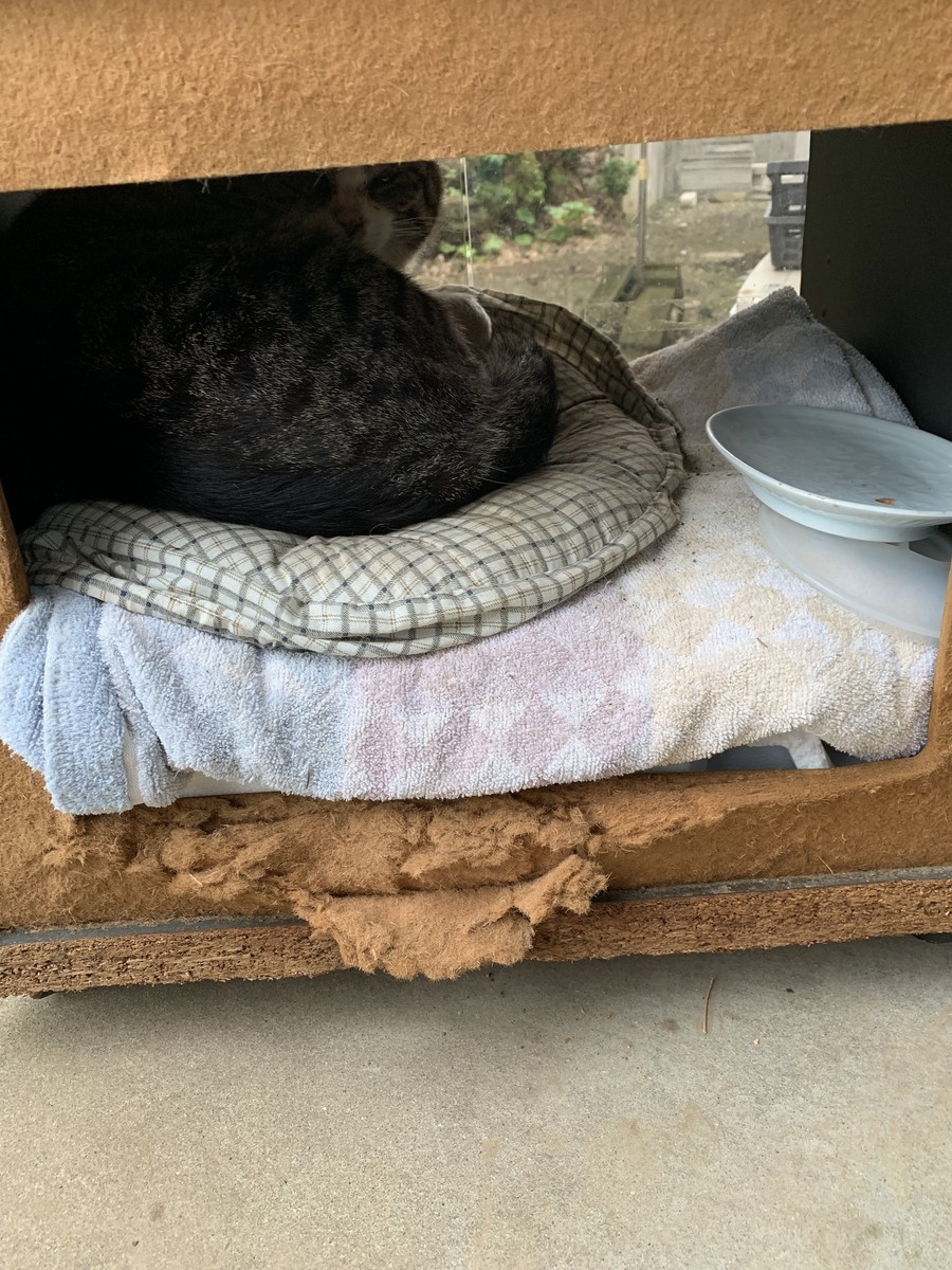 f:id:dohgen:20190426200940j:plain