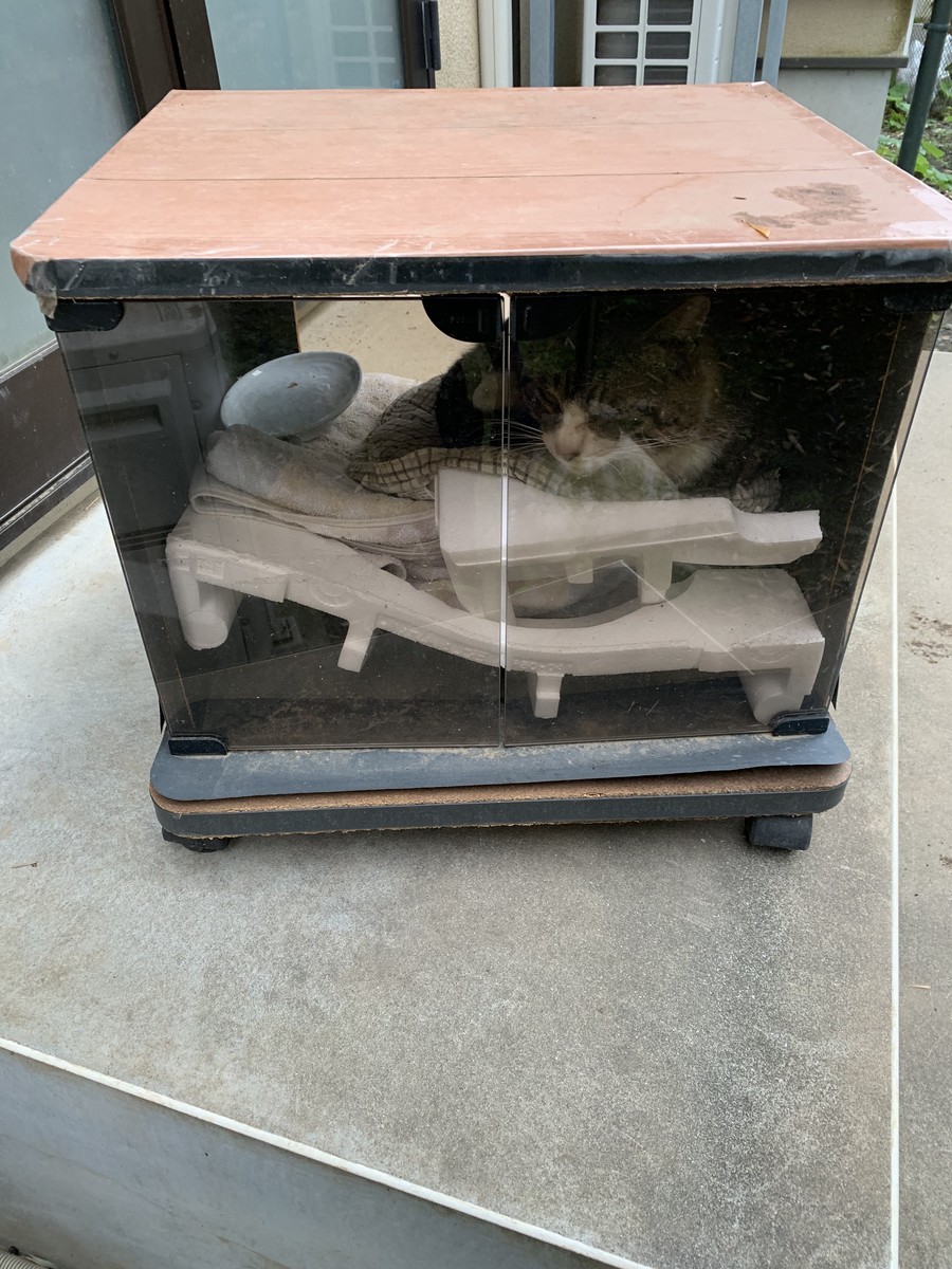 f:id:dohgen:20190426201035j:plain