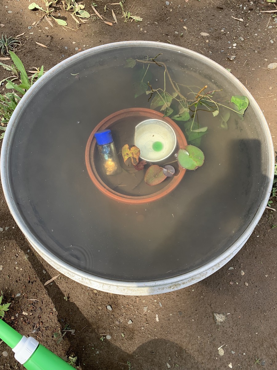 f:id:dohgen:20190503093835j:plain f:id:dohgen:20190503093835j:plain