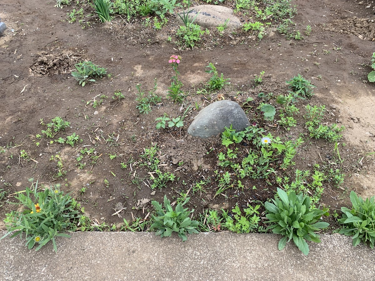 f:id:dohgen:20190504170124j:plain f:id:dohgen:20190504170124j:plain