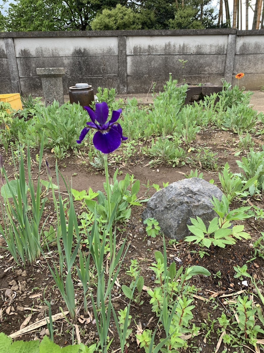 f:id:dohgen:20190504170329j:plain f:id:dohgen:20190504170329j:plain