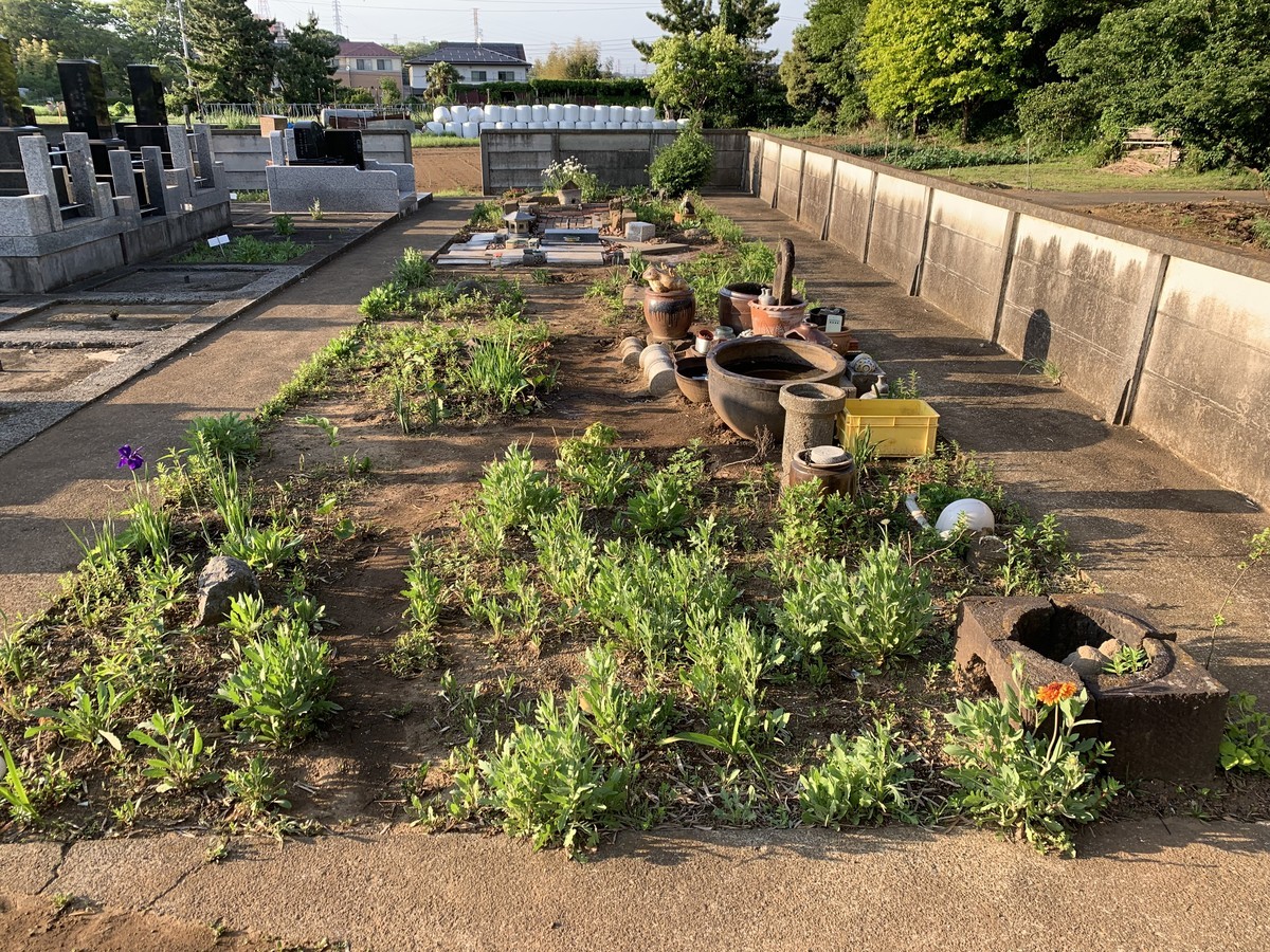 f:id:dohgen:20190505220550j:plain