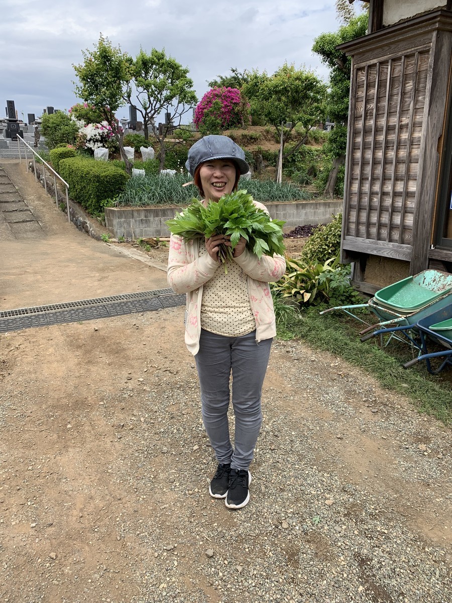 f:id:dohgen:20190507174829j:plain