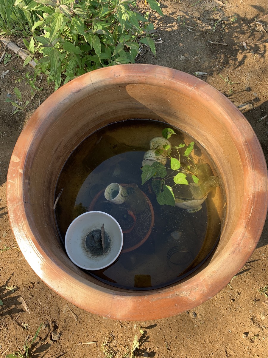 f:id:dohgen:20190508212350j:plain