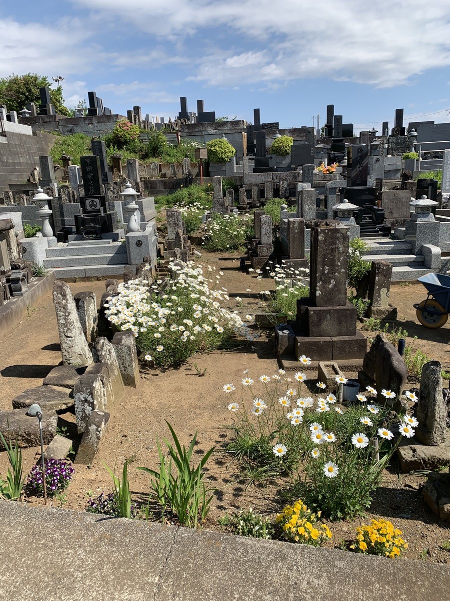 f:id:dohgen:20190510073609j:plain