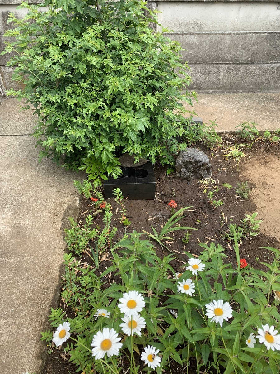 f:id:dohgen:20190515202155j:plain