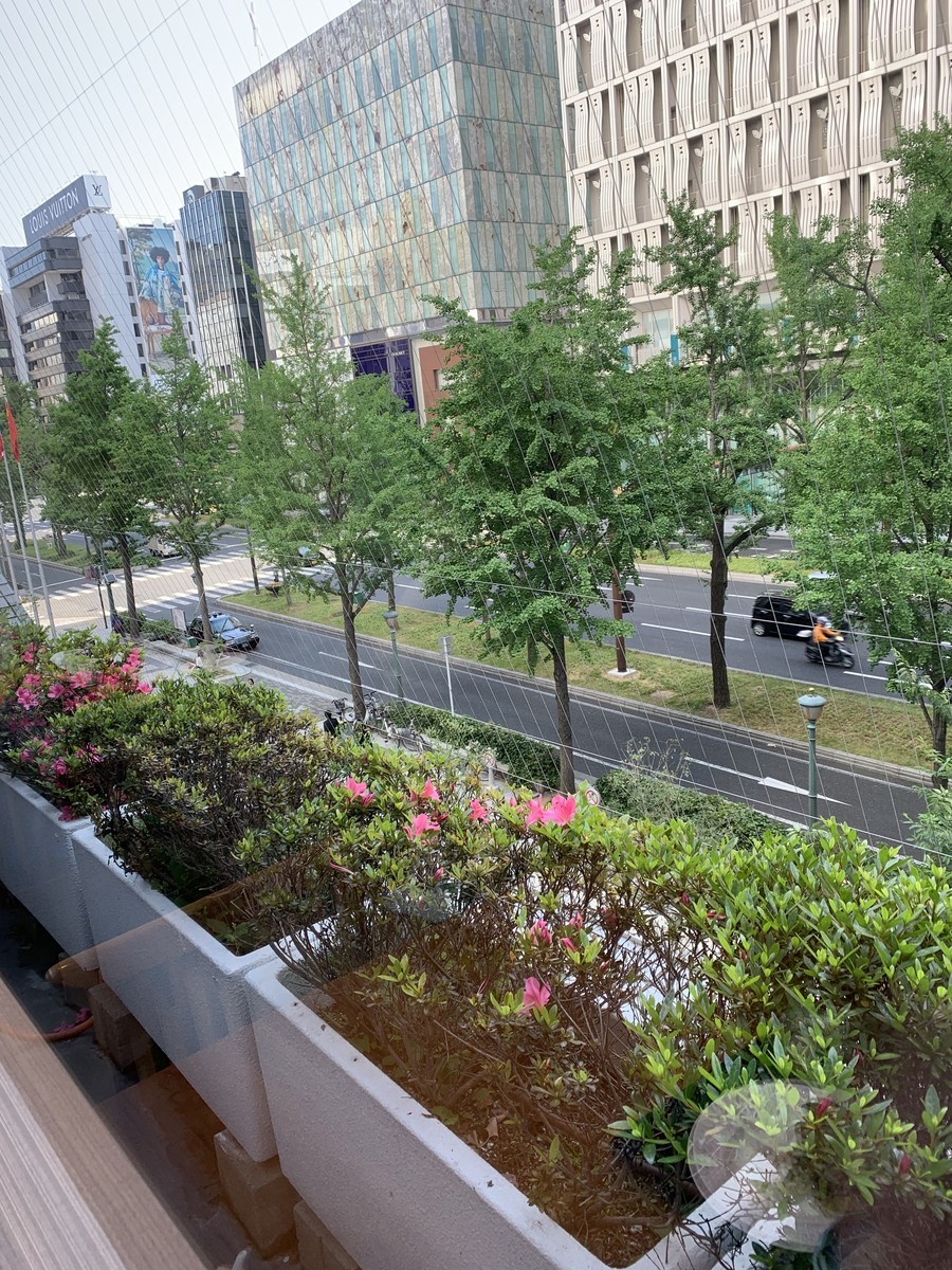 f:id:dohgen:20190517090711j:plain
