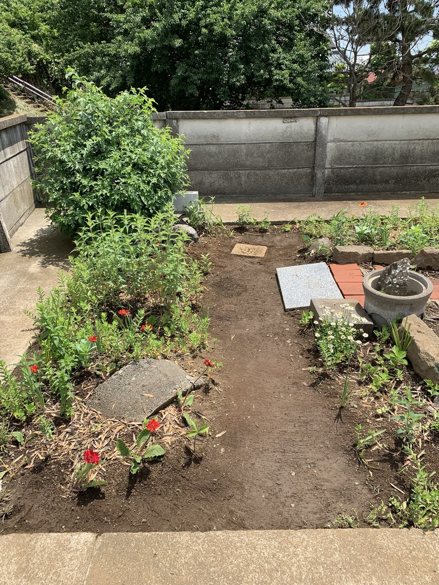 f:id:dohgen:20190522191535j:plain