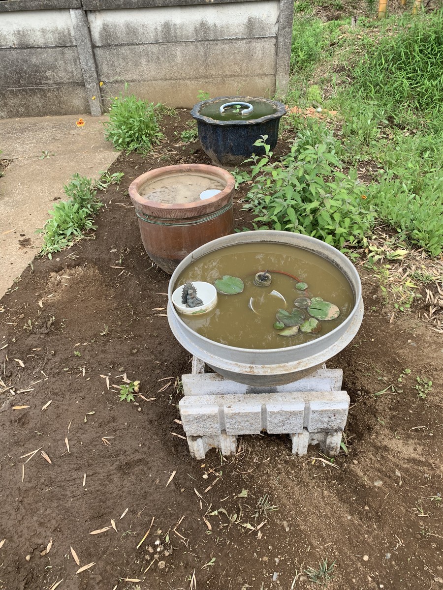 f:id:dohgen:20190522192704j:plain