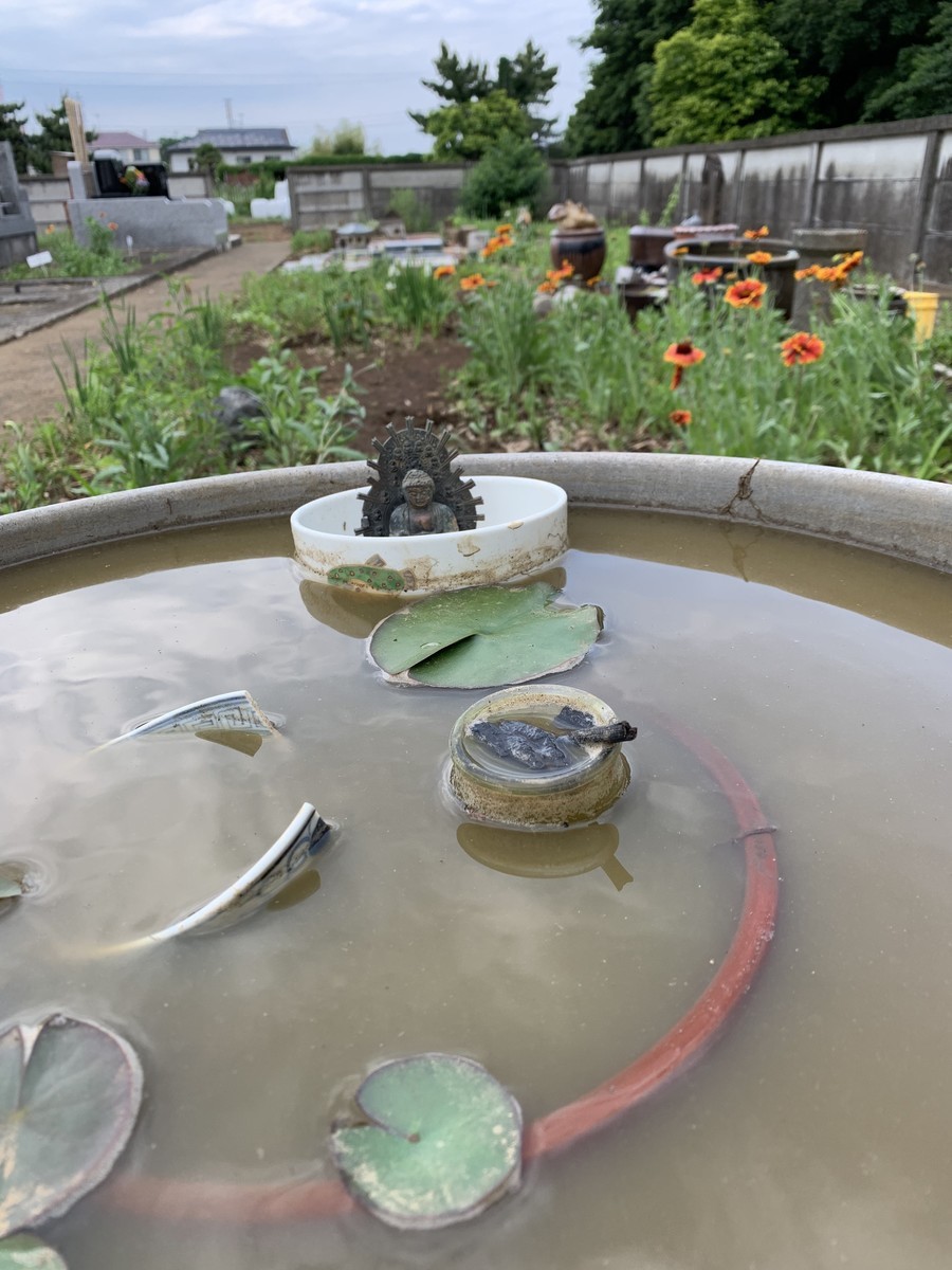 f:id:dohgen:20190522193005j:plain