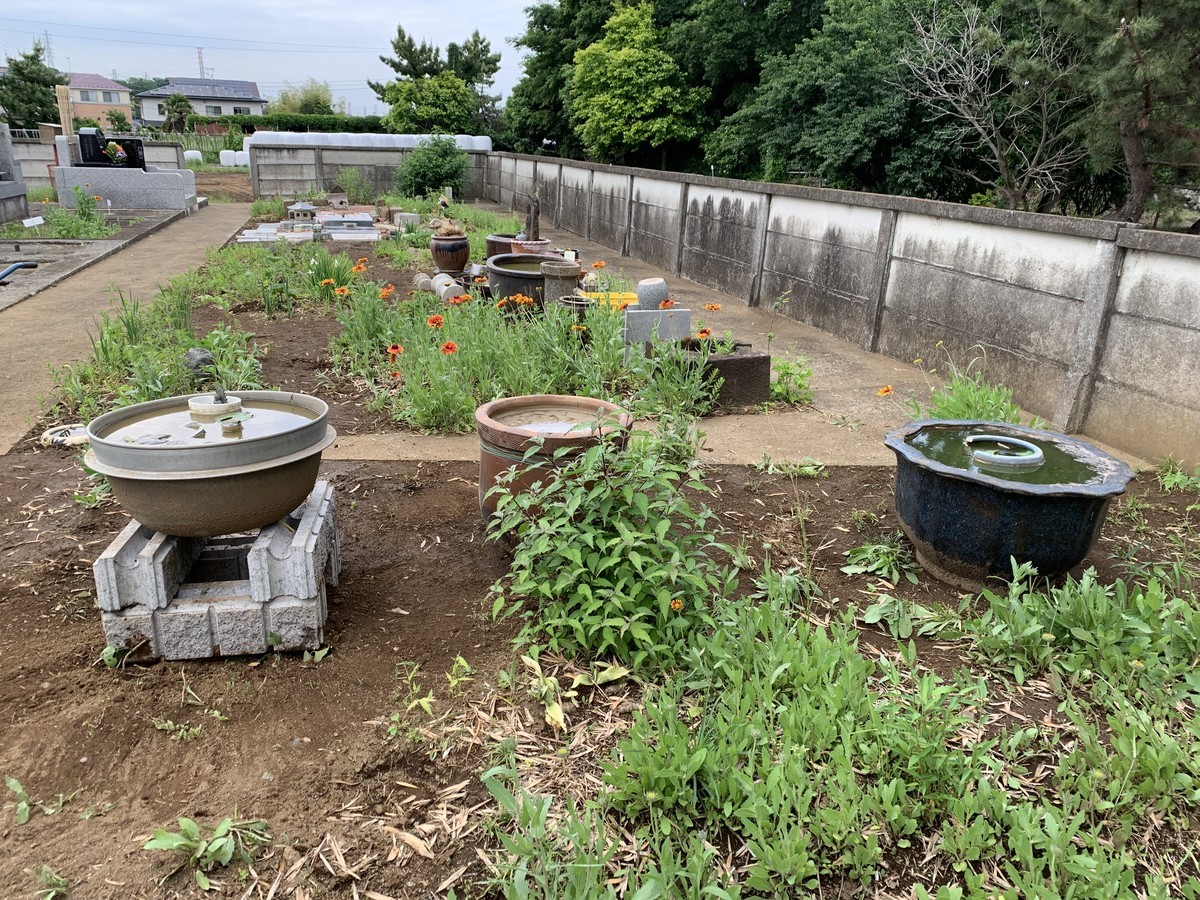 f:id:dohgen:20190522194209j:plain