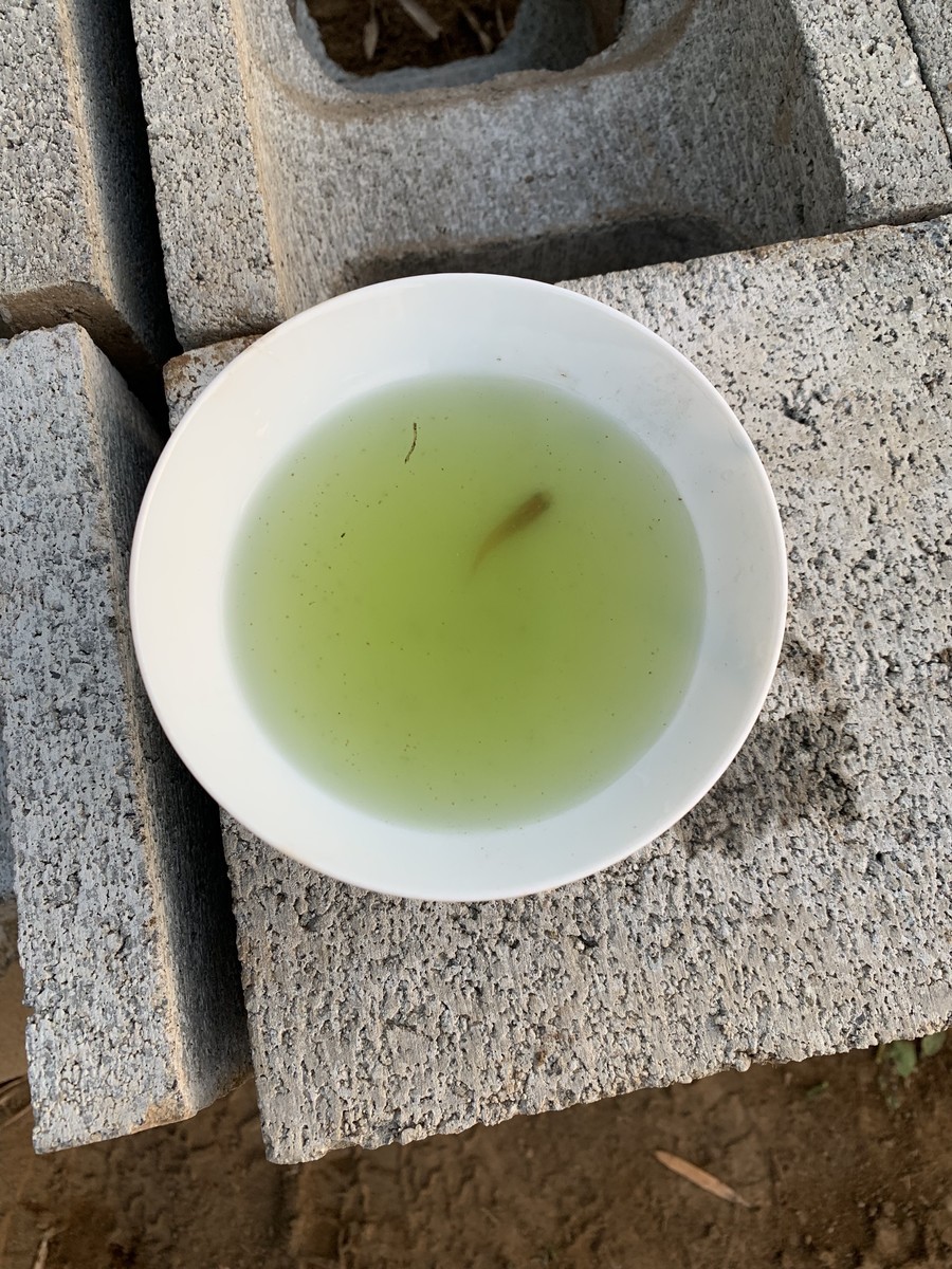 f:id:dohgen:20190525183354j:plain