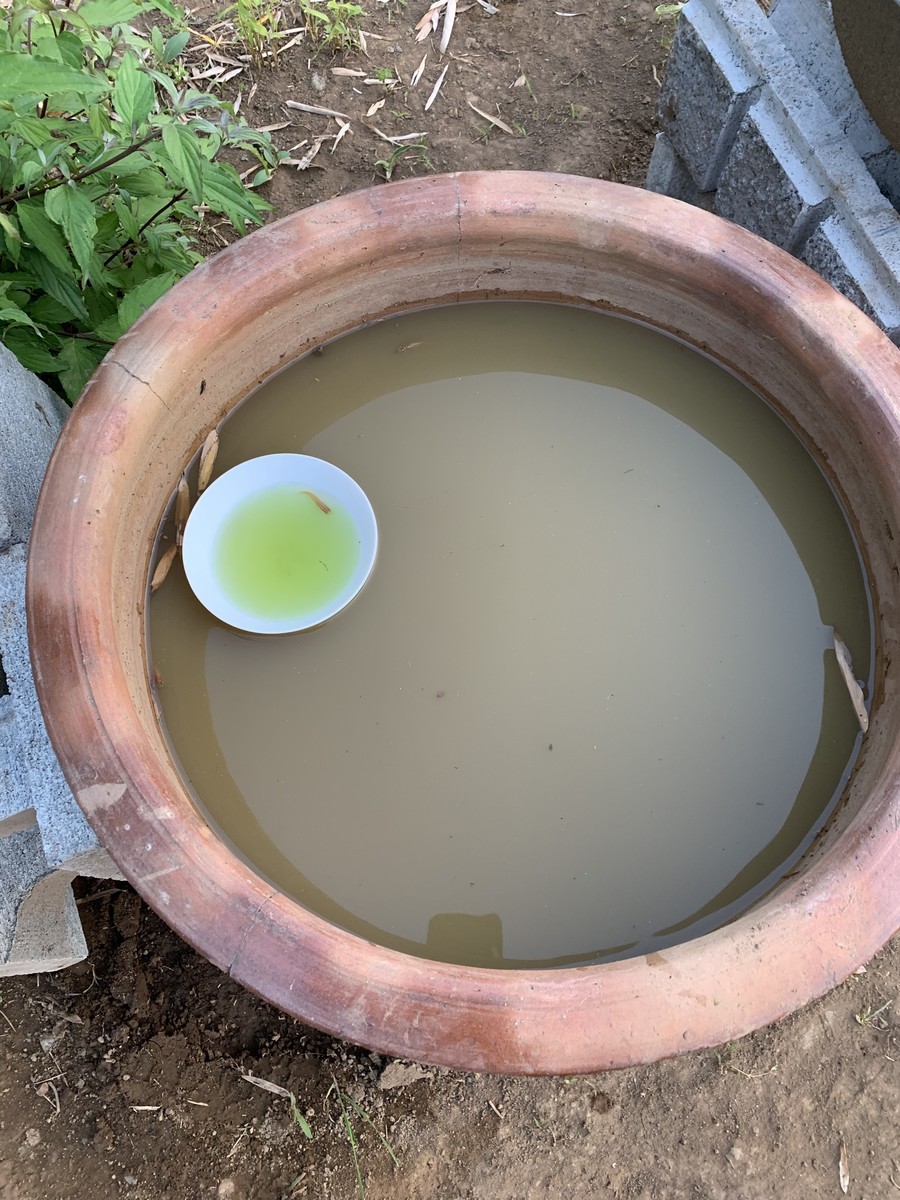 f:id:dohgen:20190525183438j:plain