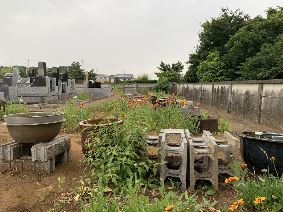 f:id:dohgen:20190529093624j:plain