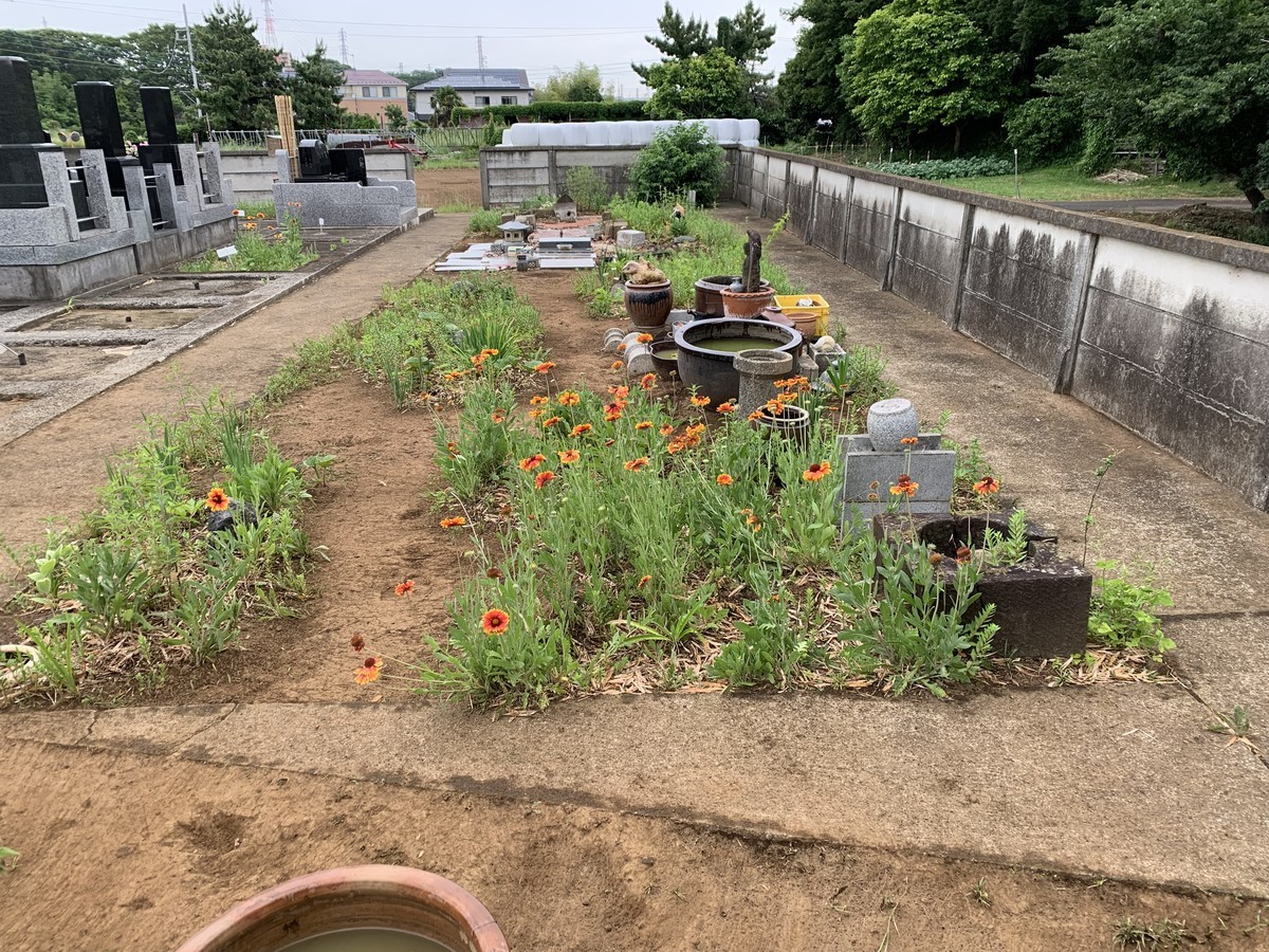 f:id:dohgen:20190529093916j:plain