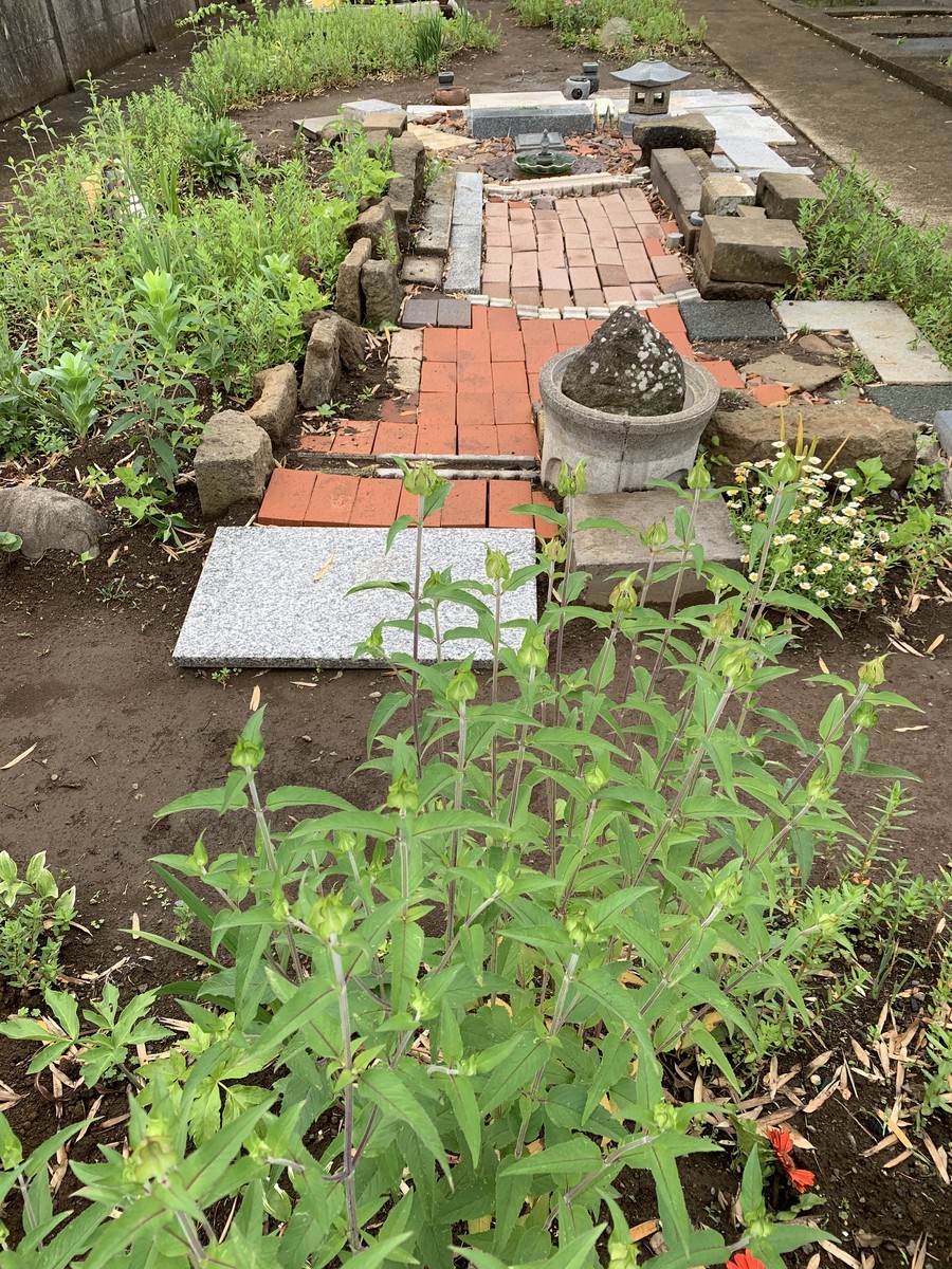 f:id:dohgen:20190531134405j:plain