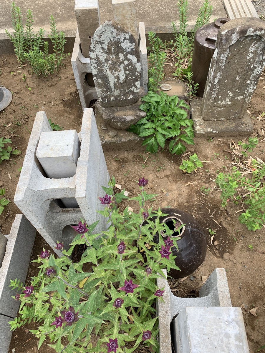 f:id:dohgen:20190602164221j:plain f:id:dohgen:20190602164221j:plain