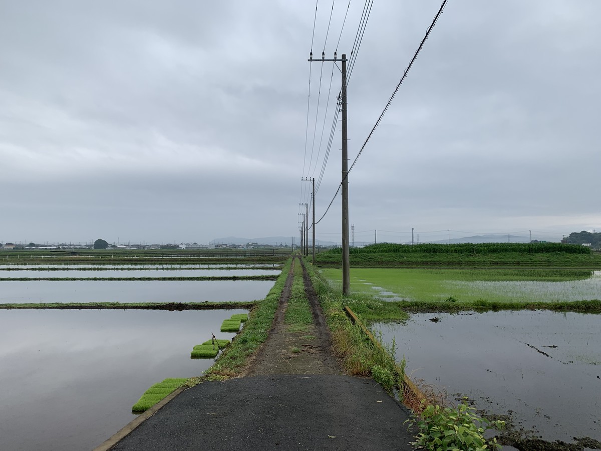 f:id:dohgen:20190608091124j:plain