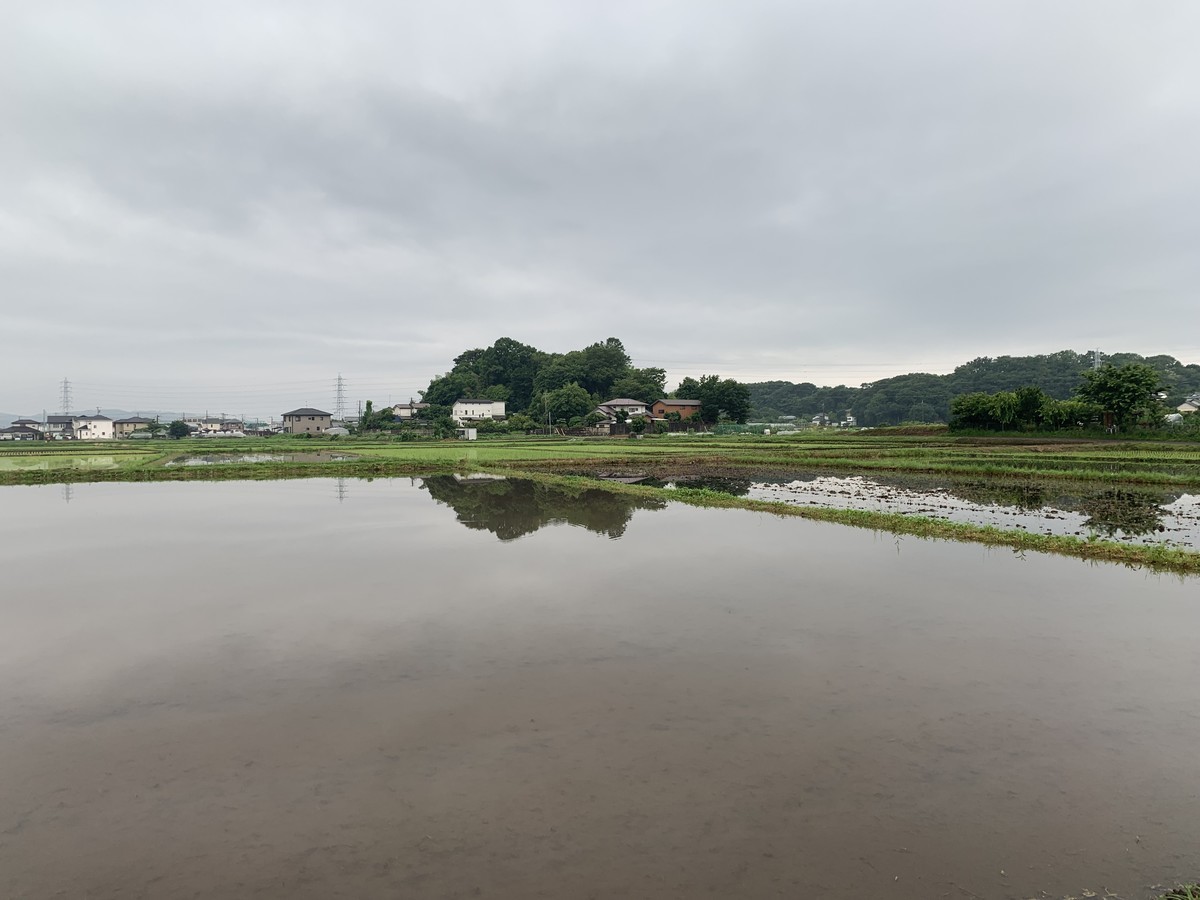 f:id:dohgen:20190608091337j:plain