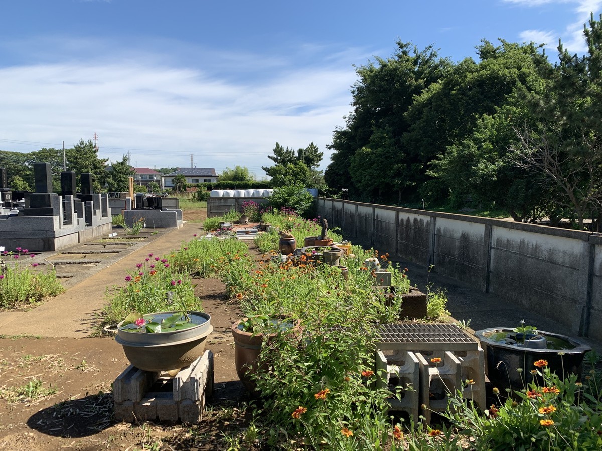 f:id:dohgen:20190617193615j:plain