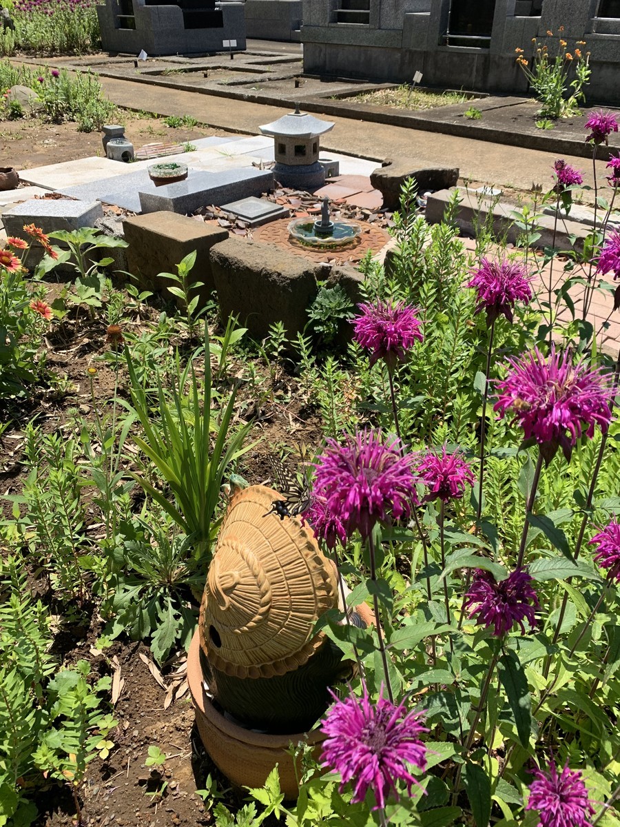 f:id:dohgen:20190617194651j:plain