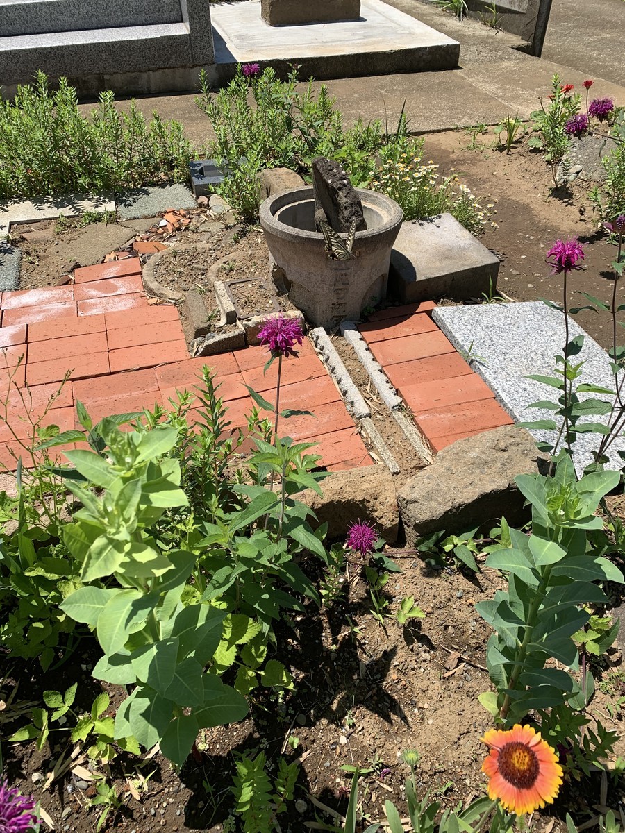 f:id:dohgen:20190617194930j:plain
