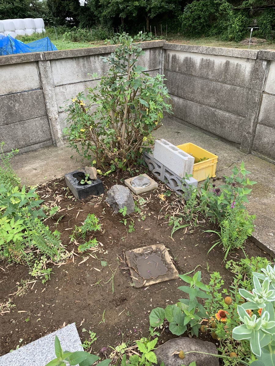 f:id:dohgen:20190709154334j:plain