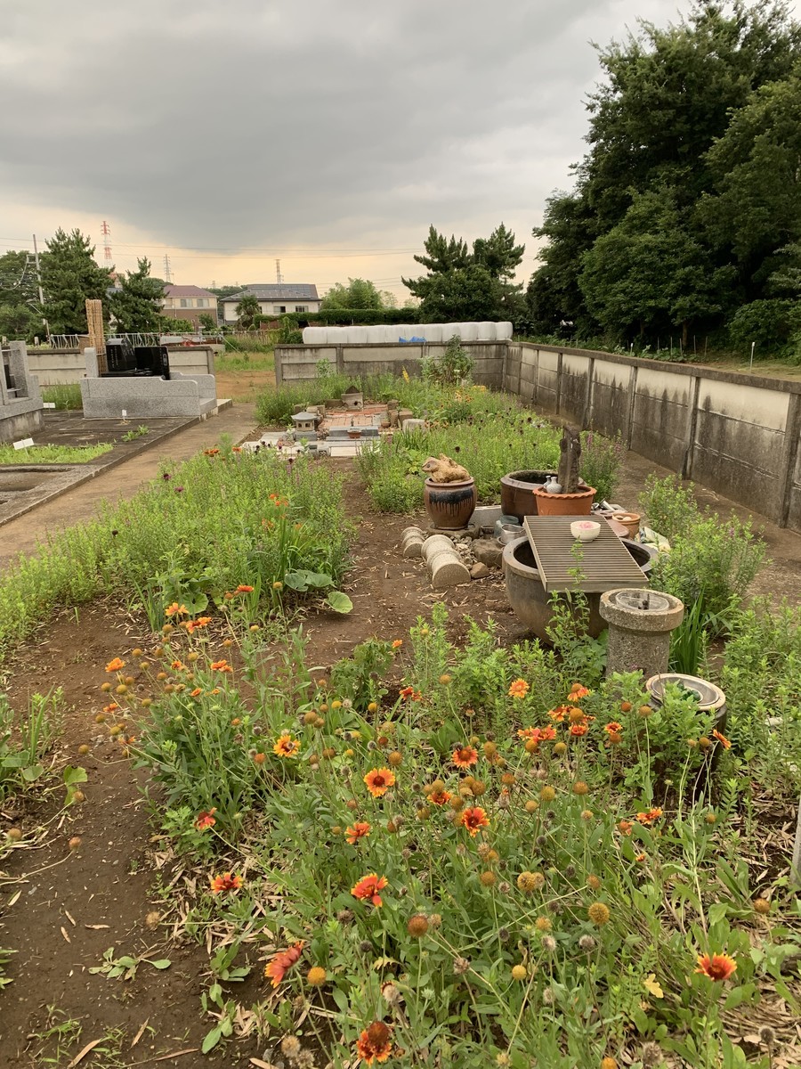 f:id:dohgen:20190709154644j:plain