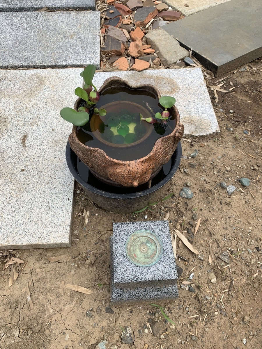 f:id:dohgen:20190717200937j:plain