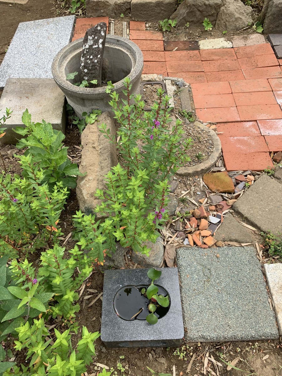 f:id:dohgen:20190717201504j:plain