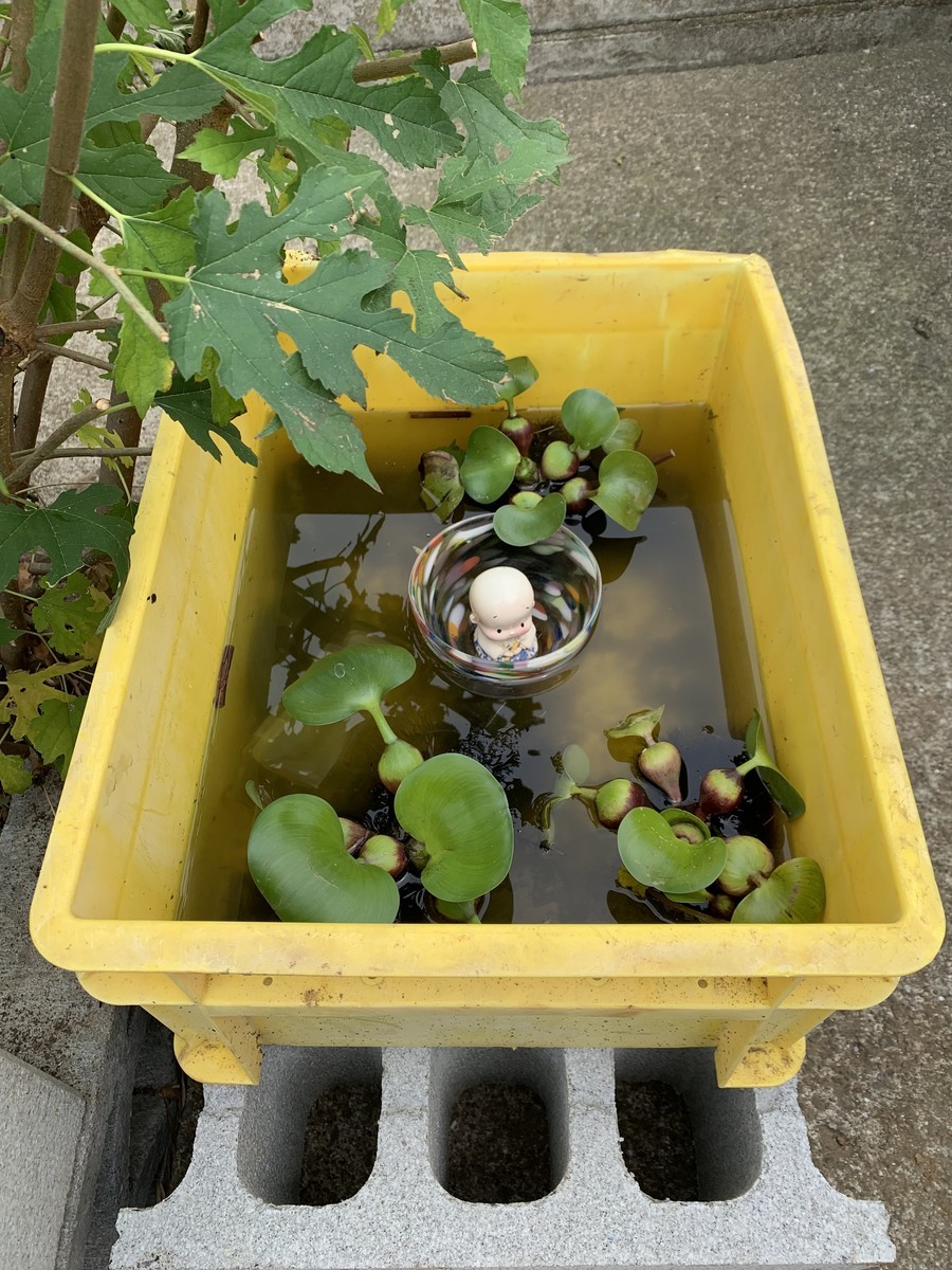 f:id:dohgen:20190717201639j:plain