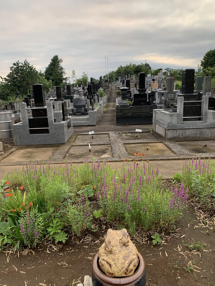 f:id:dohgen:20190718171111j:plain