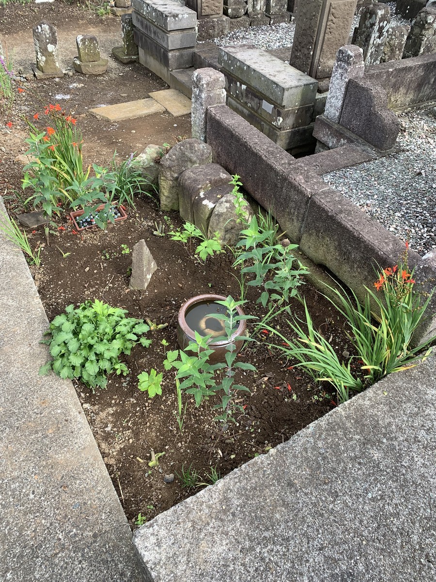 f:id:dohgen:20190724083401j:plain