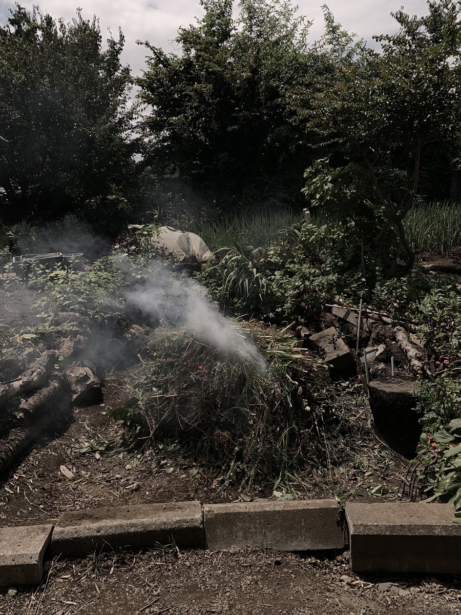 f:id:dohgen:20190724083544j:plain